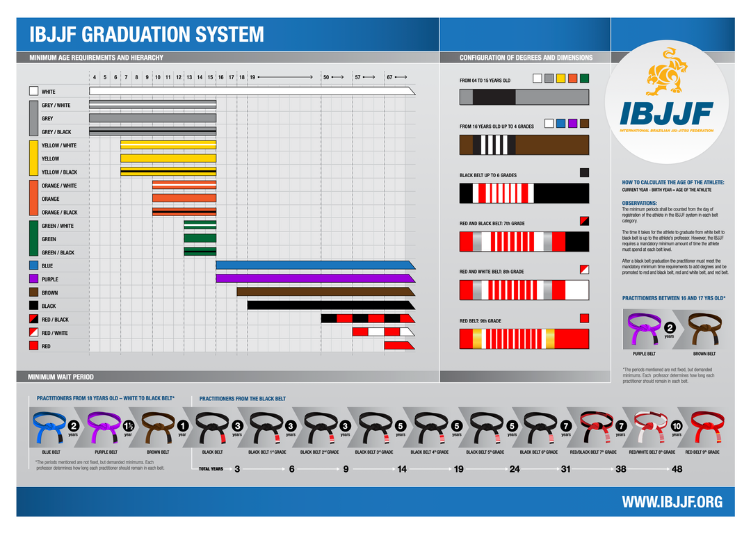 BJJ belt system poster